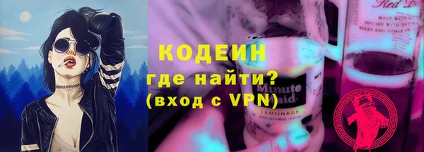 хмурый Бородино