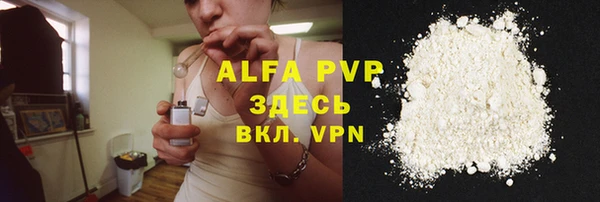 хмурый Бородино