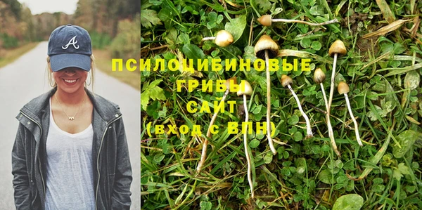 ешки Бугульма