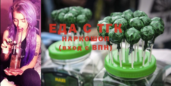 хмурый Бородино