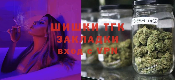 хмурый Бородино