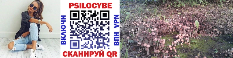 Псилоцибиновые грибы Psilocybe  Нюрба 